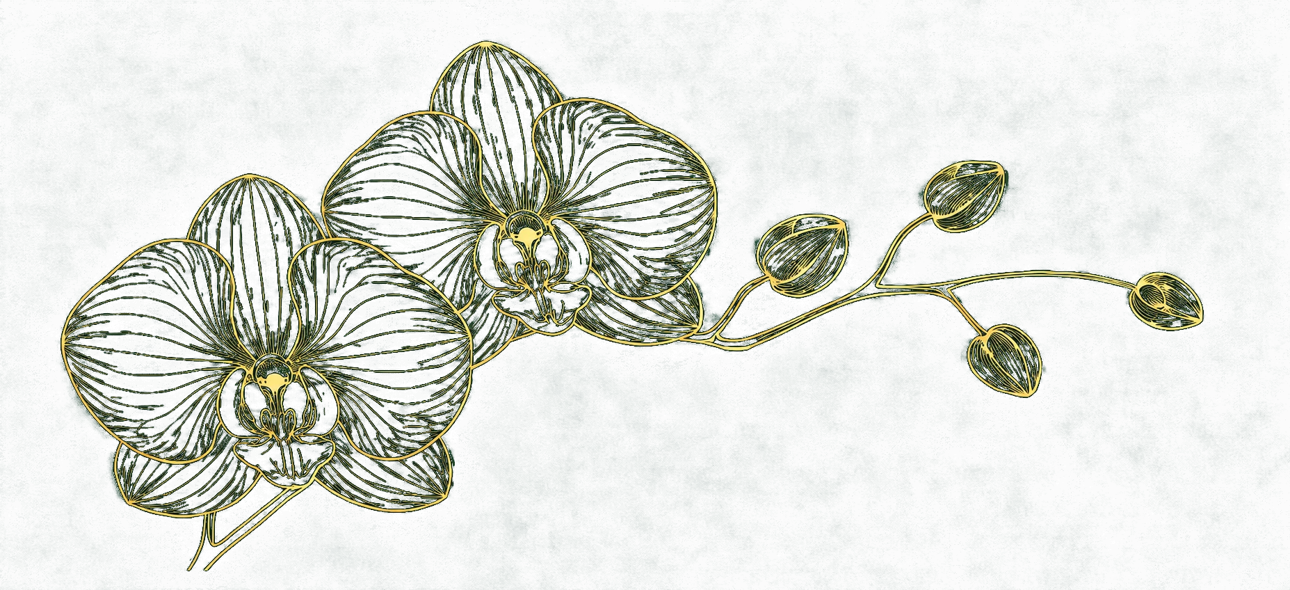 Gold orchid patient specials background accent